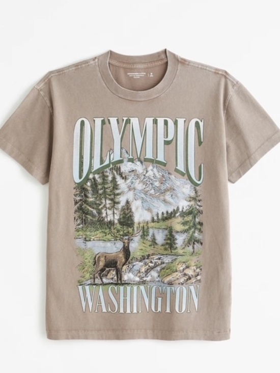 Abercrombie & Fitch Tops - Abercrombie and Fitch- Soft Relaxed AF essential Olympic Washington (Unisex)- M